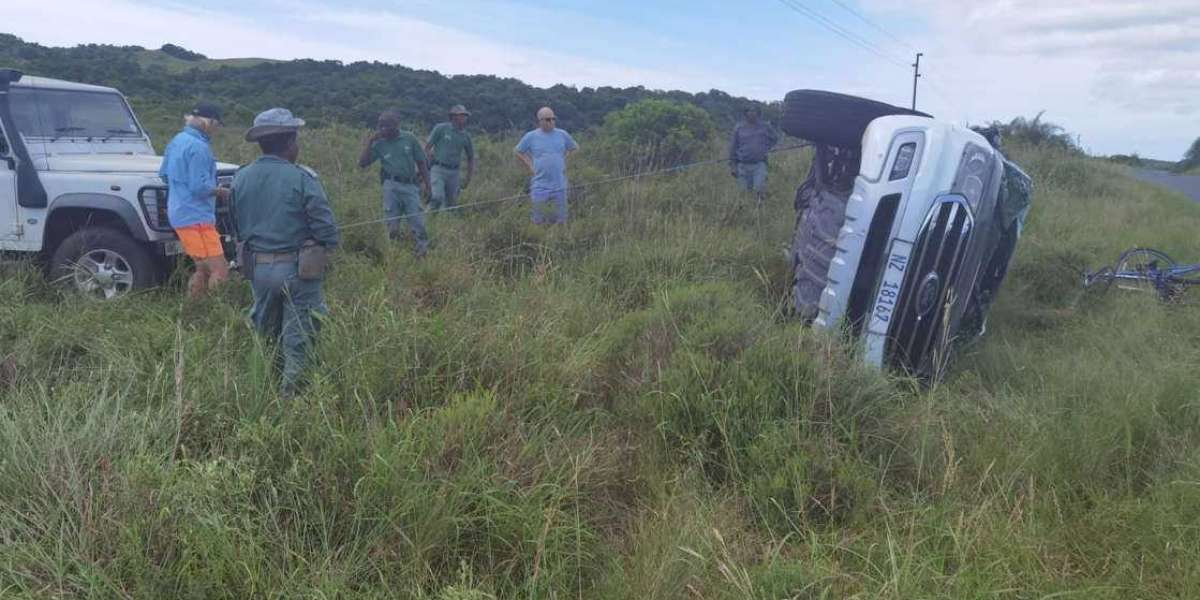 Family survives bull elephant after it flips their Ford SUV at Lake St Lucia