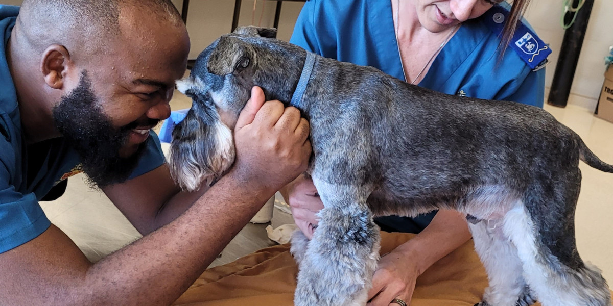 New South African rules for para-veterinary professions set to be a ‘game-changer’ for animal healthcare