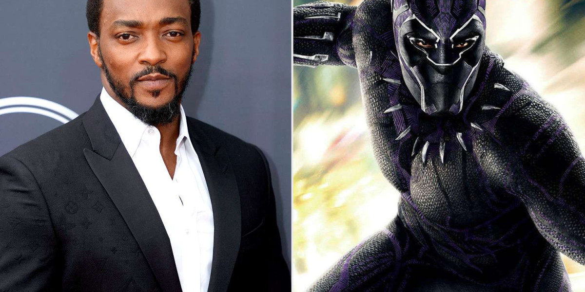 Anthony Mackie Reveals He Wanted to Play Black Panther Before Falcon