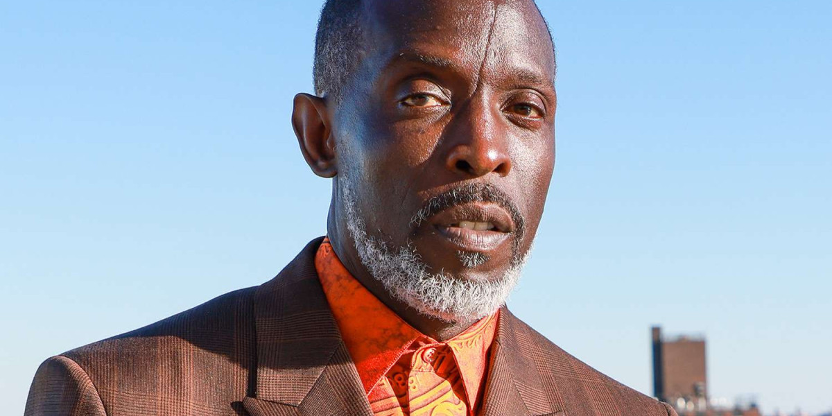Drug Dealer Responsible for Michael K. Williams' Death Sentenced to 10 years in prison